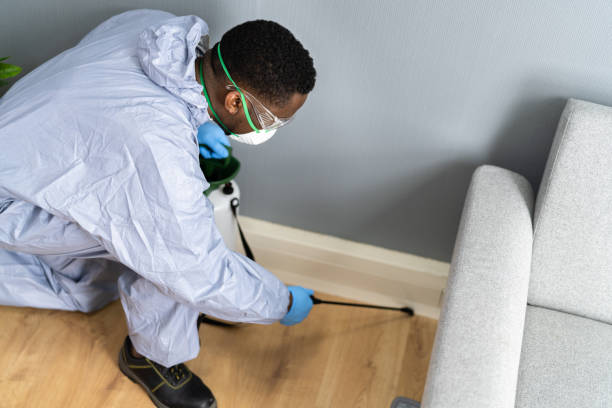 Real Estate Pest Inspections in Valle Vista, CA